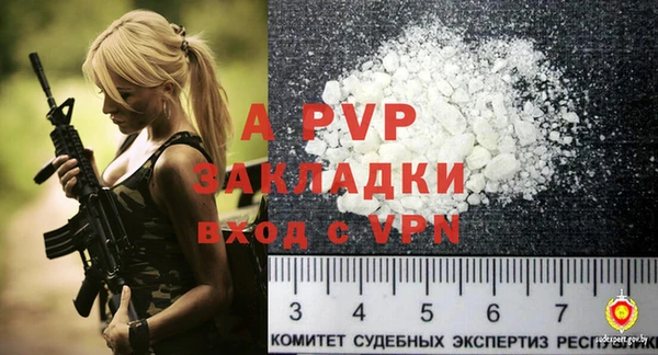 стафф Ладушкин