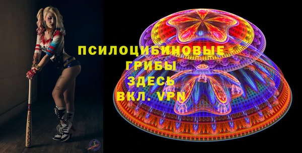 стафф Ладушкин