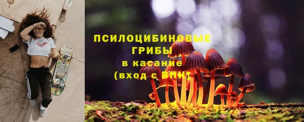 гашик Кулебаки
